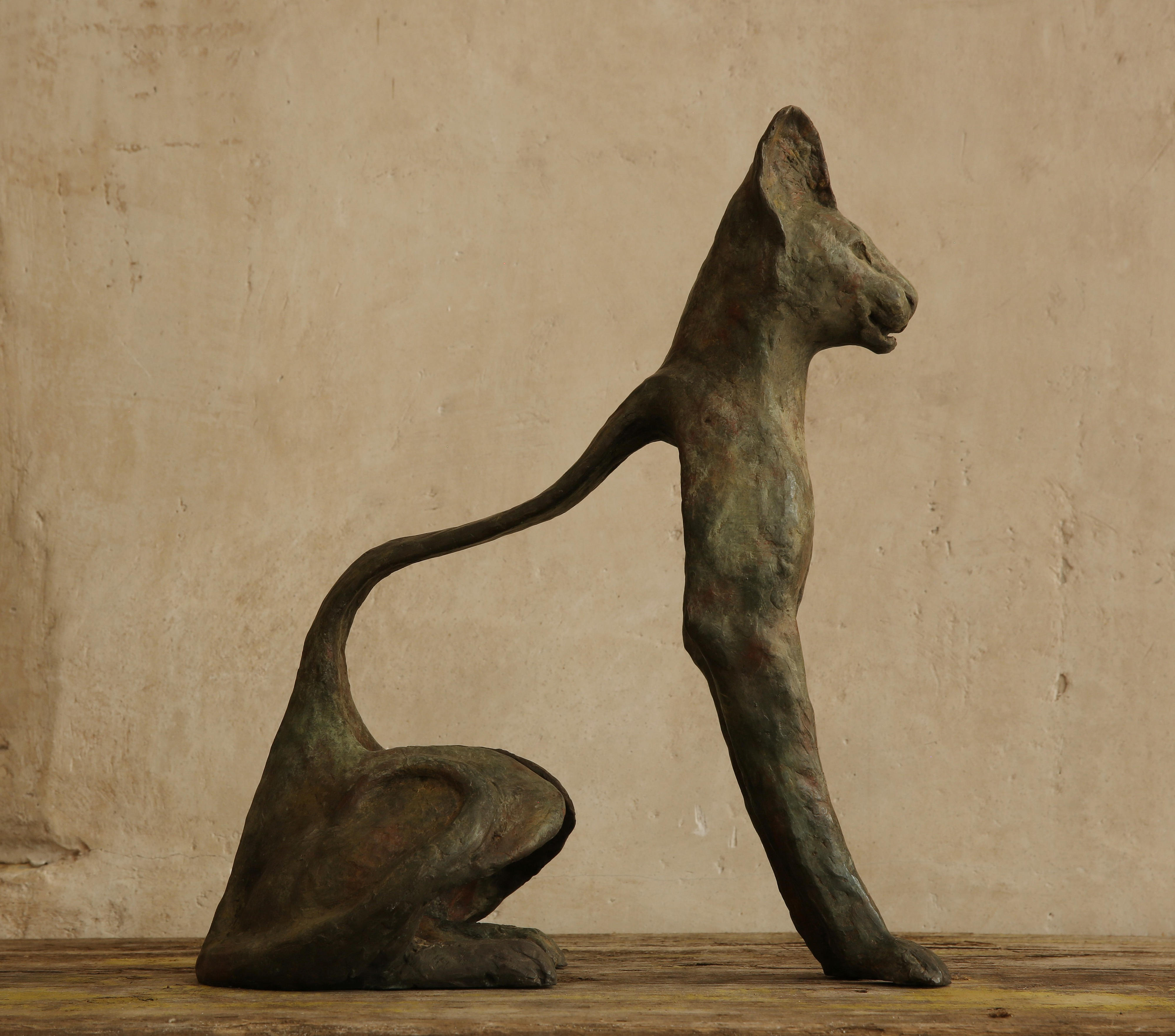 Leptailurus Serval II (tail right)